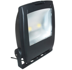 Ansell 100w Mira LED Floodlight