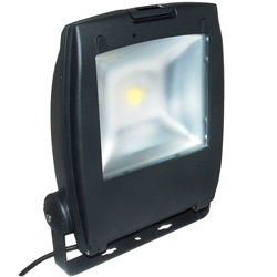 Ansell 50w Mira LED Floodlight